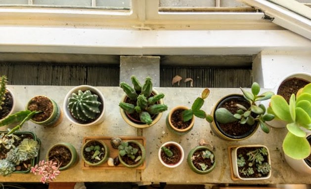 62046995_892908967714276_8915422997695692800_n