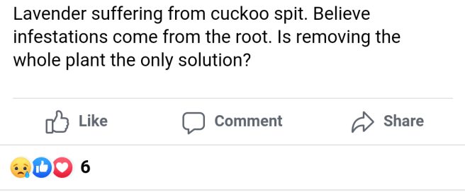 screenshot_20190528-0820112