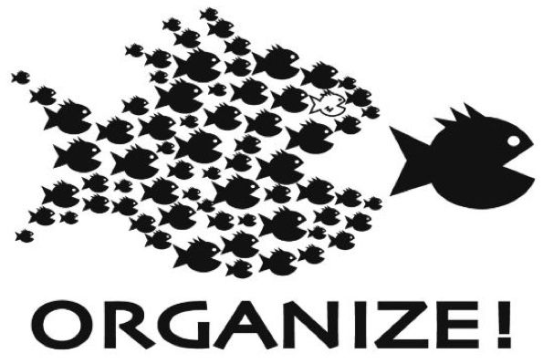 organise