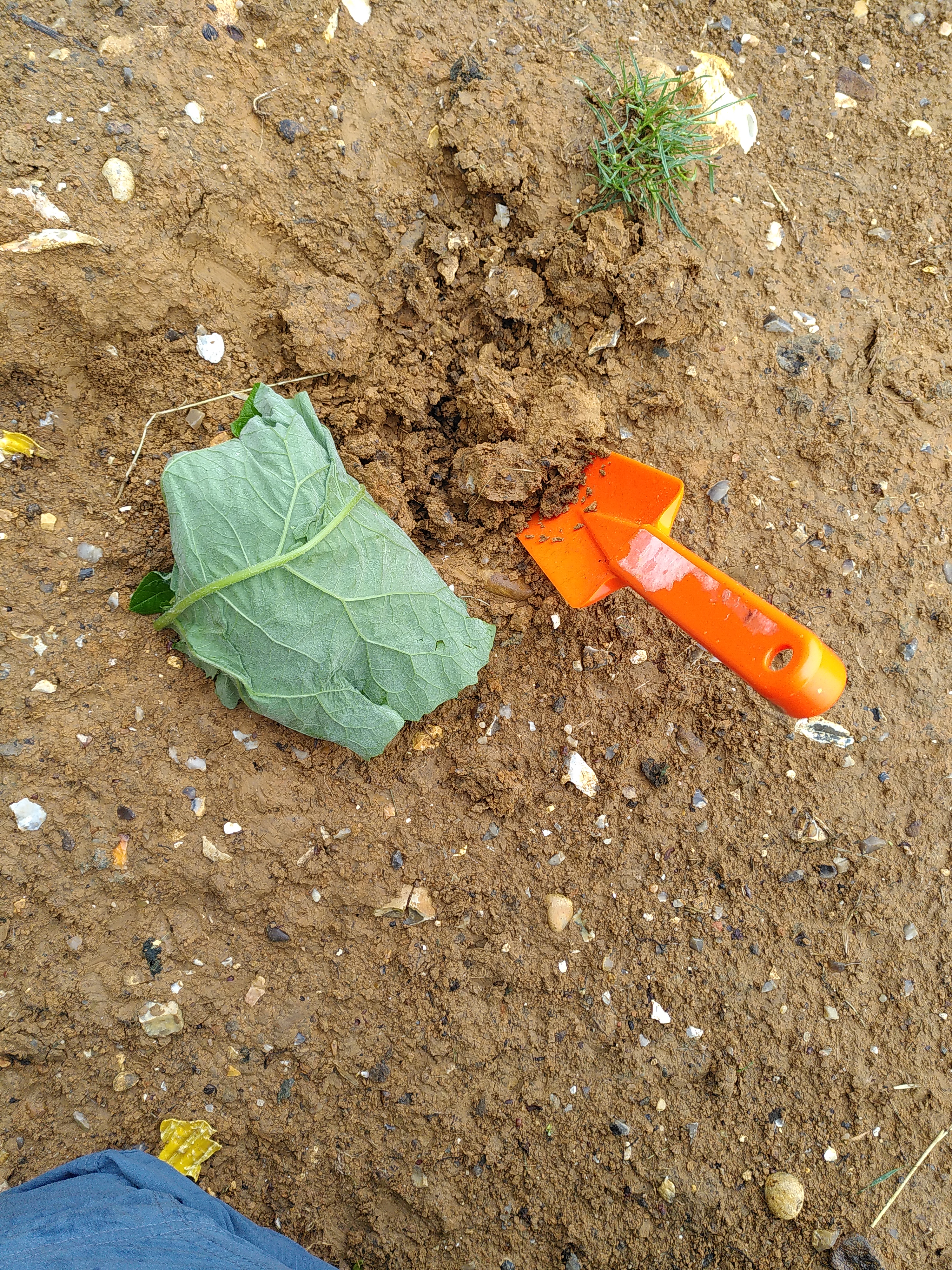 The wrapped potato next to the trowel on a patch of clay that is visibly damper than in the first phot