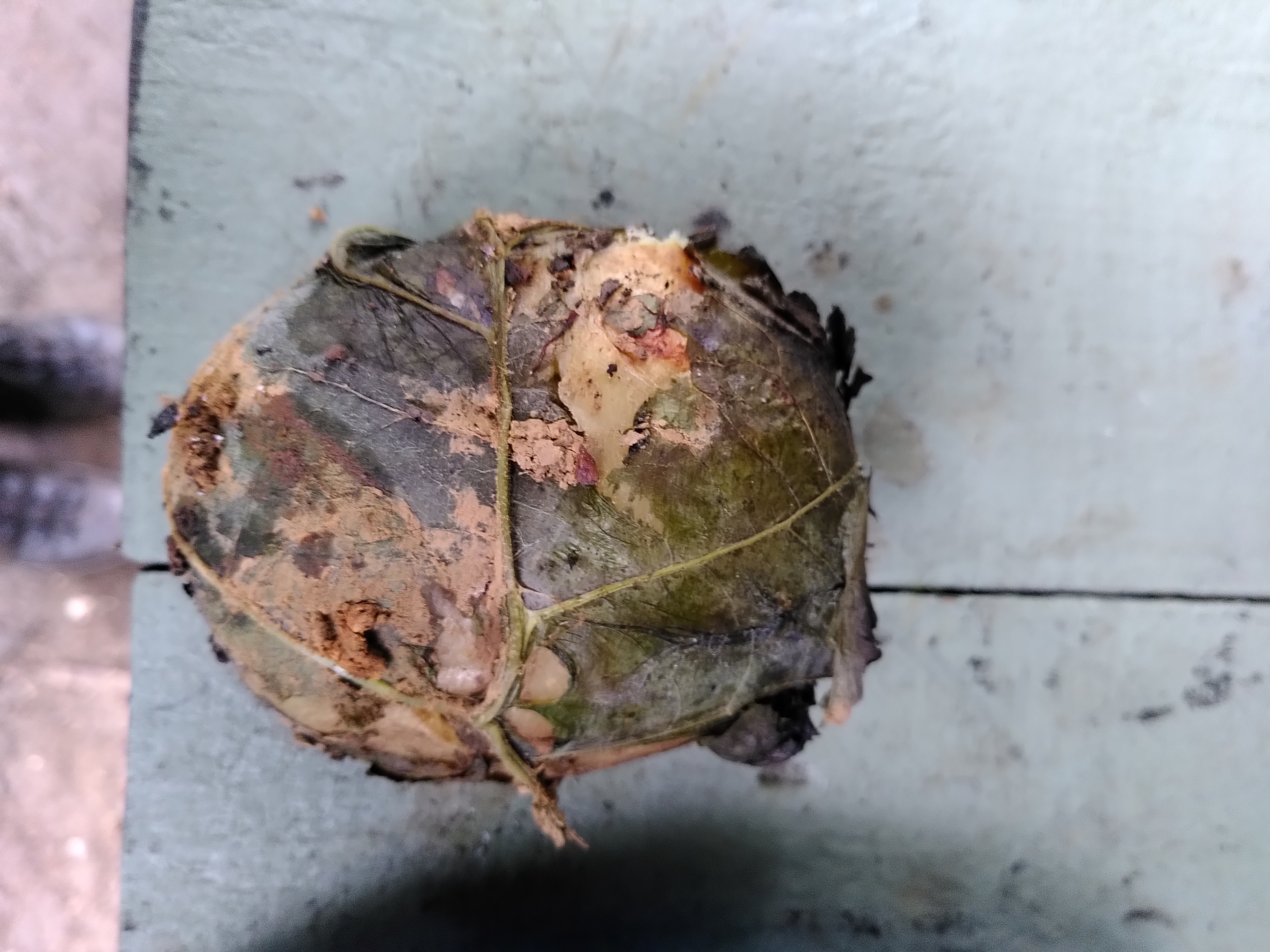 Burdock wrapped potatoe from which most of the clay has been removed after taking it out of the fire.